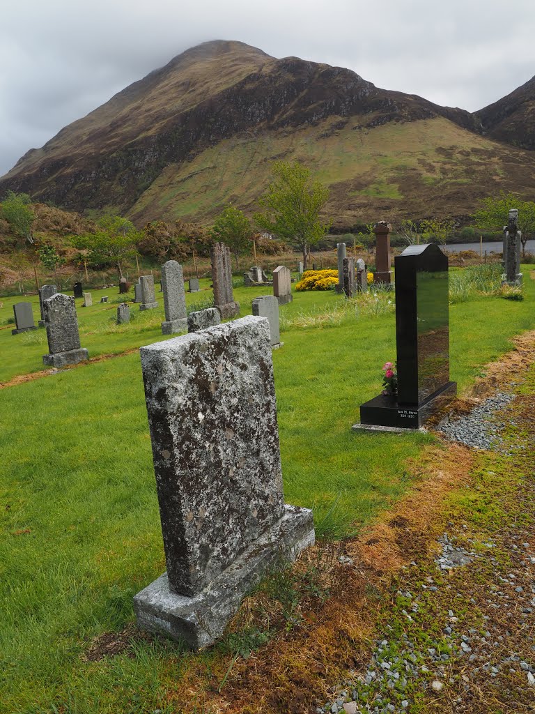 Highland, UK by Tim Gardner