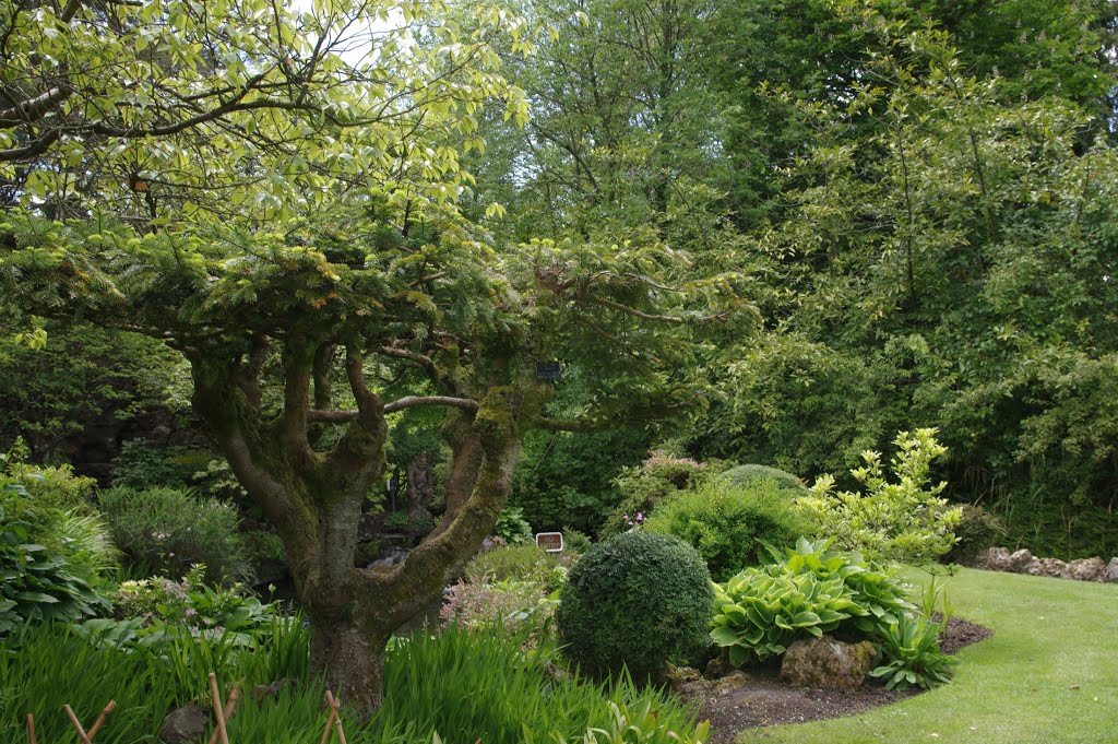 Brallistown Little, Co. Kildare, Ireland by Didier Portal