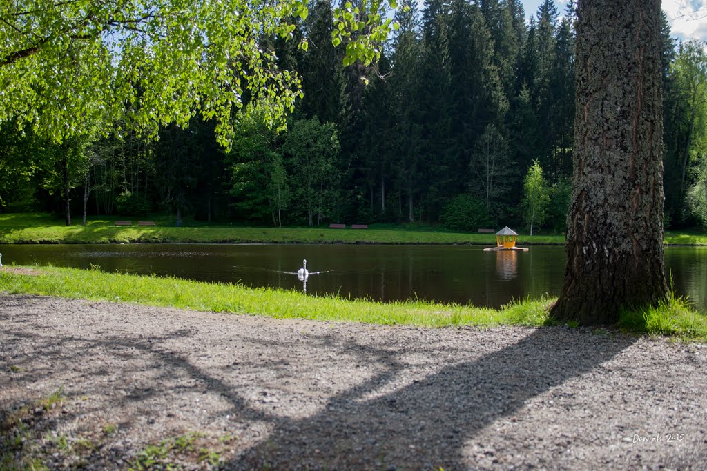 Līgatne, Līgatnes pilsēta, Latvia by Денис Полоцк