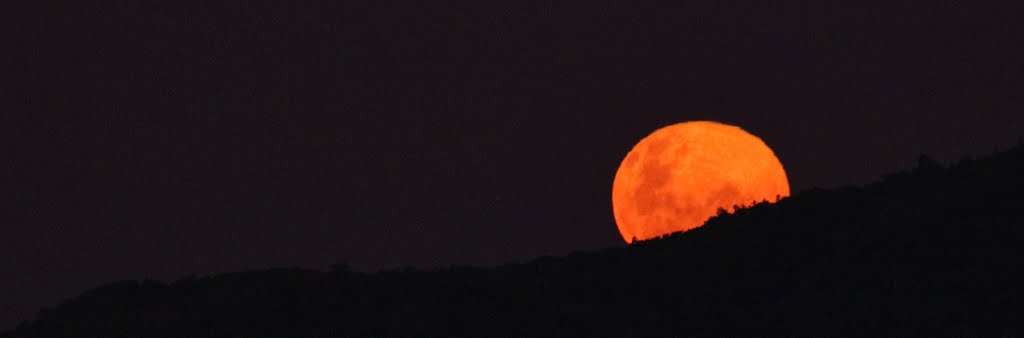 Nascer da Lua. Praia dos Ingleses, Florianópolis, SC, Brasil by Zenório Piana