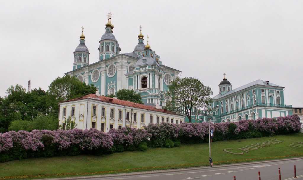 Promyshlennyy rayon, Smolensk, Smolenskaya oblast', Russia by Alex lal