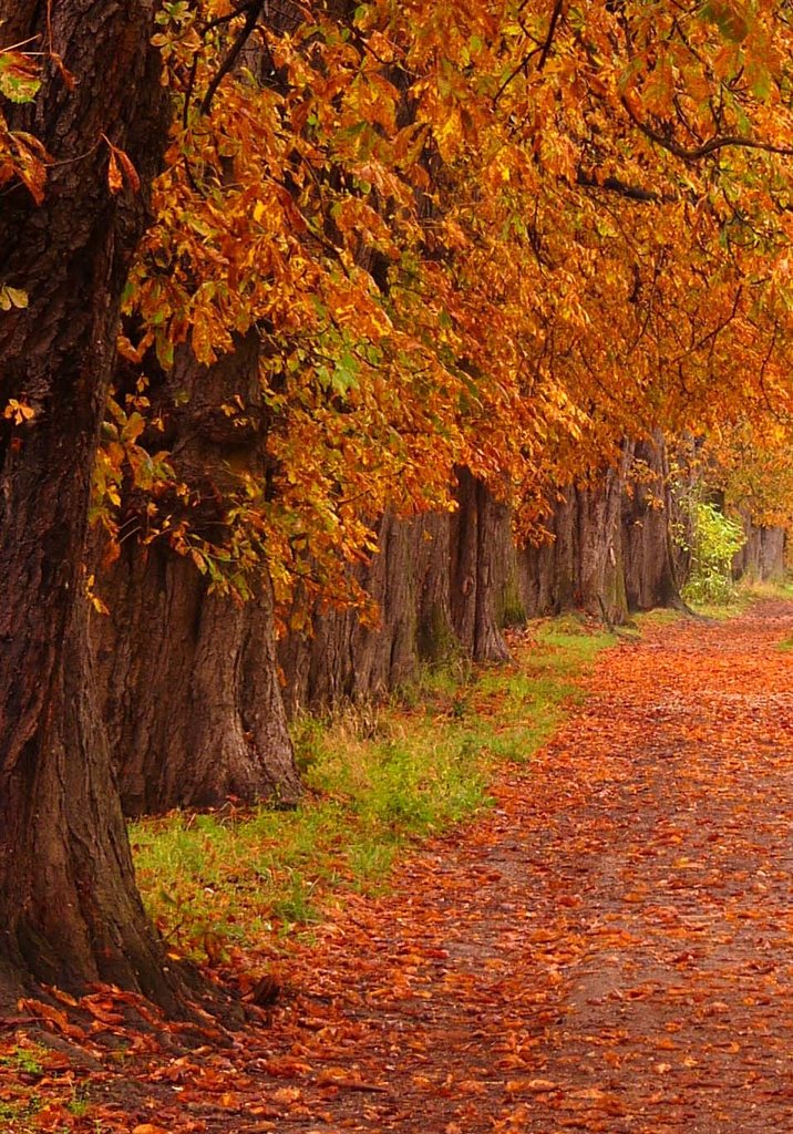 Esztergom, Hungary by oraslaci