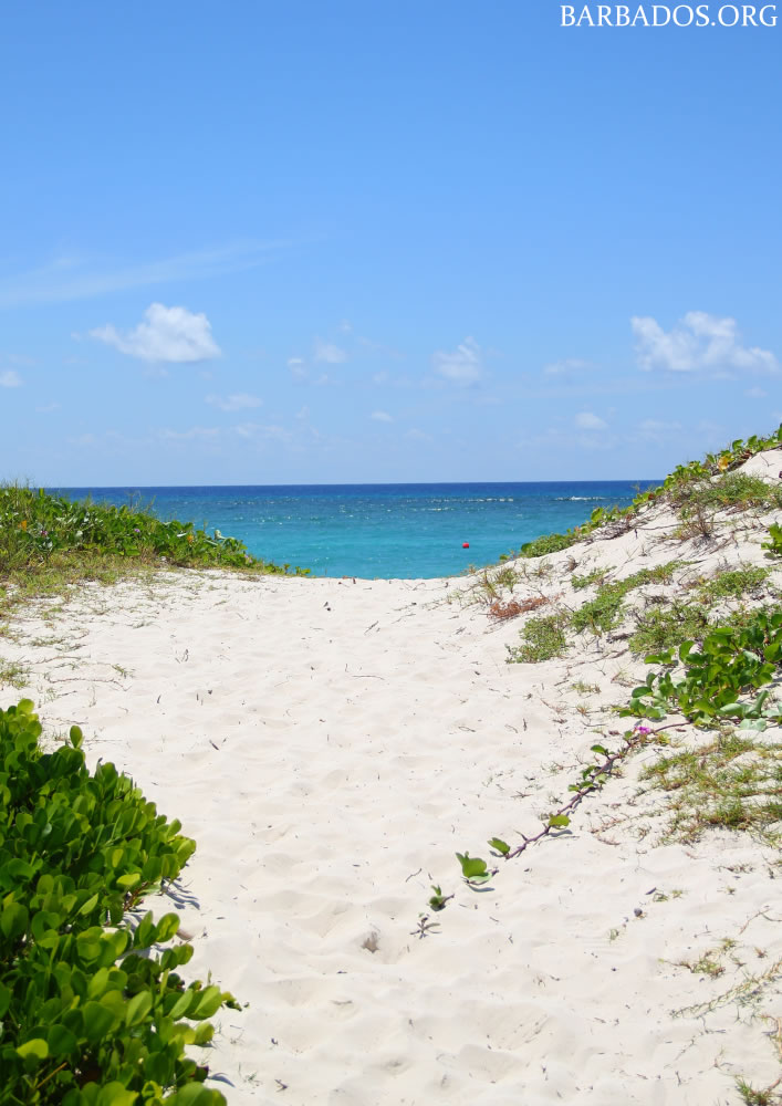 Silver Sands Beach, Barbados by www.barbados.org