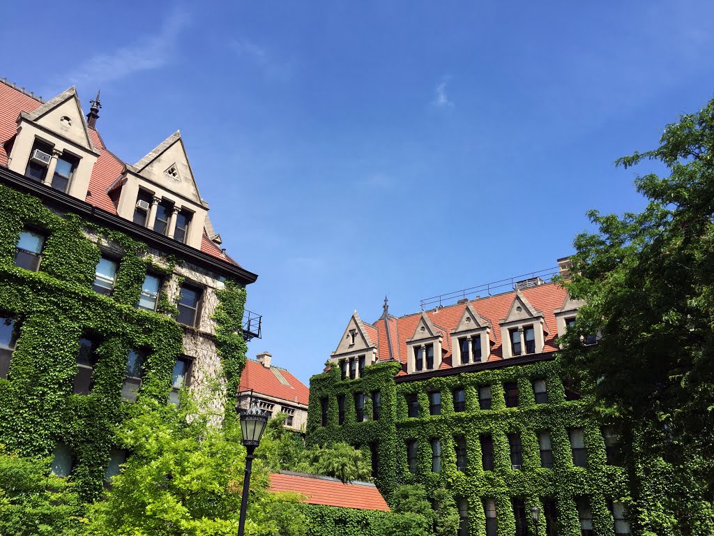 University of Chicago - Kent lab / Culver building 1 by Antoine Jasser