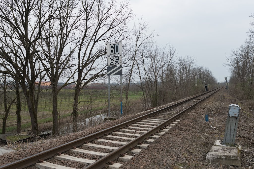 Tracks - Piadena (CR) Italy - March 24, 2015 by Giorgio Galeotti