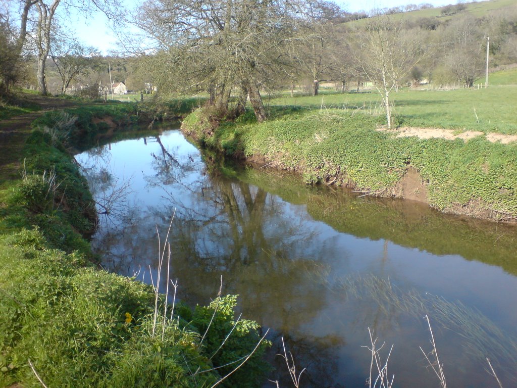 Wellow Brook by ben_kitchener3