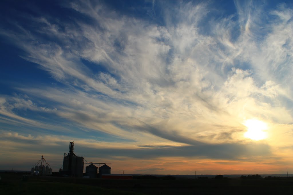 Lacombe County, AB, Canada by Amandy G