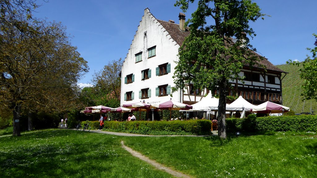 Meersburg : Weingut Haltnau Restaurant.10.05.2015 by E.Hannelore.Nowag