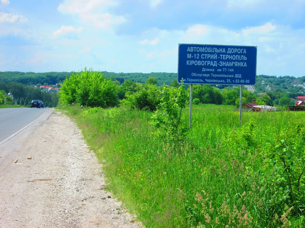 Ternopil's'kyi district, Ternopil's'ka oblast, Ukraine by Юрій Бондаренко