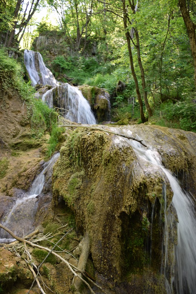 Gostilje, Serbia by Mandic Milan