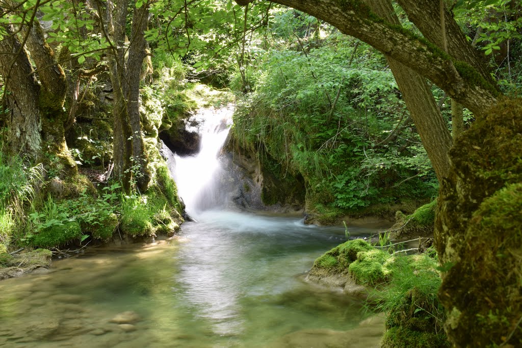 Gostilje, Serbia by Mandic Milan