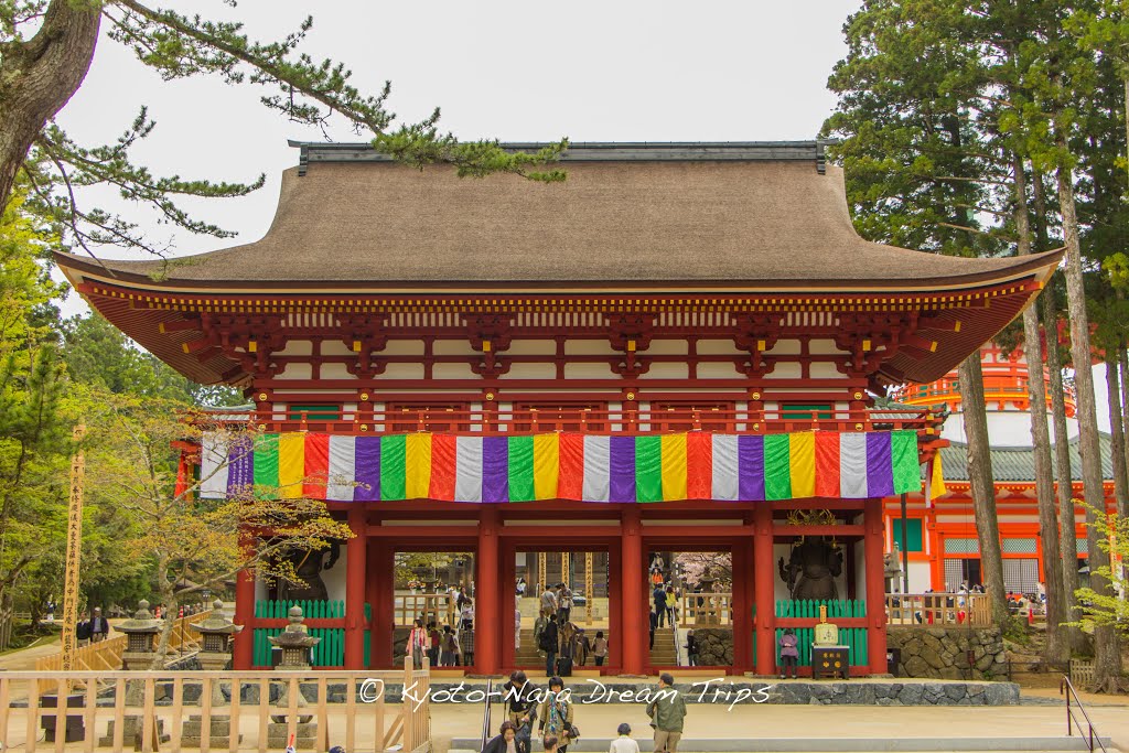 Danjo Garan: The Nucleus of Kōyasan. by Kyoto Dream Trips