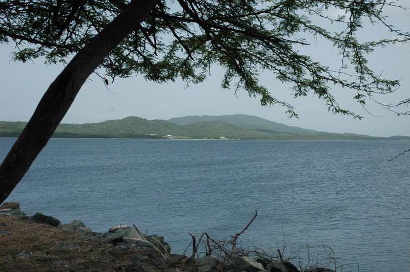 Vieques from pier, looking southwest by rjriera