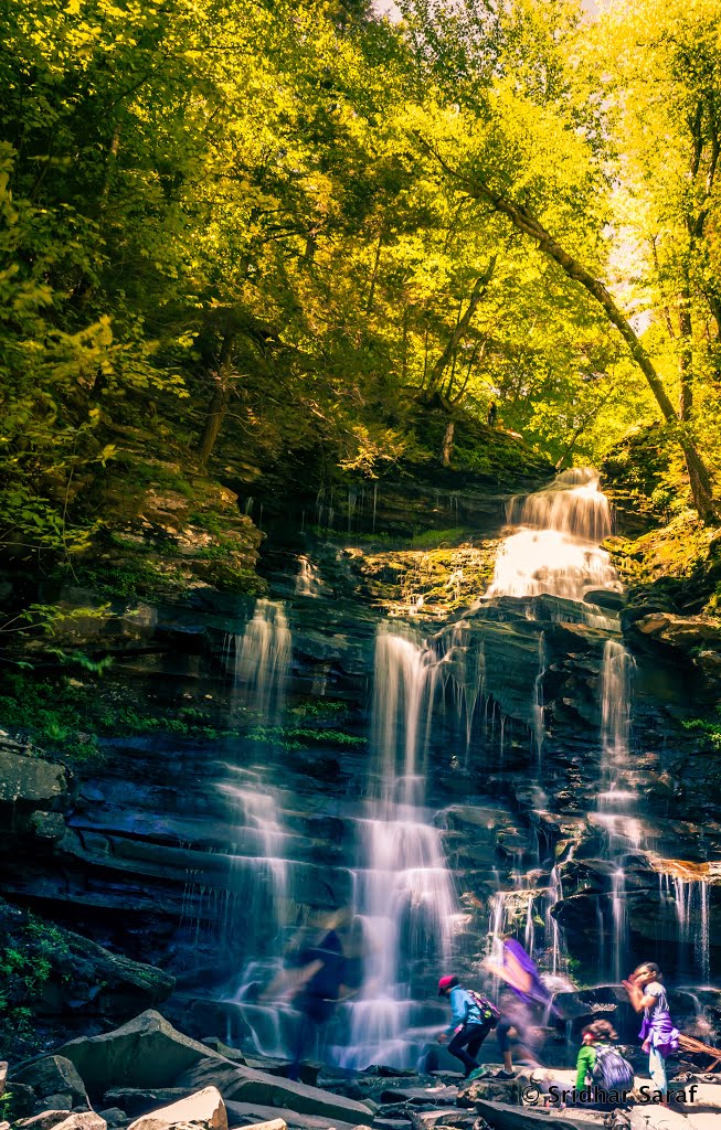 Waterfall at Ricketts Glen State Park, Benton, Pennsylvania (USA) - May 2015 by Sridhar Saraf