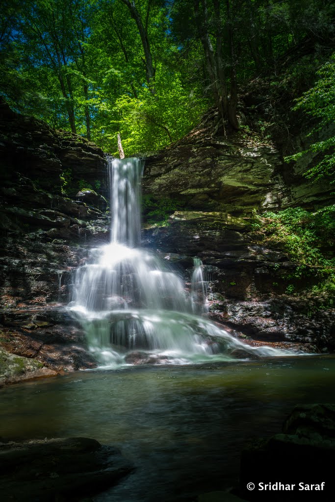 Waterfall at Ricketts Glen State Park, Benton, Pennsylvania (USA) - May 2015 by Sridhar Saraf