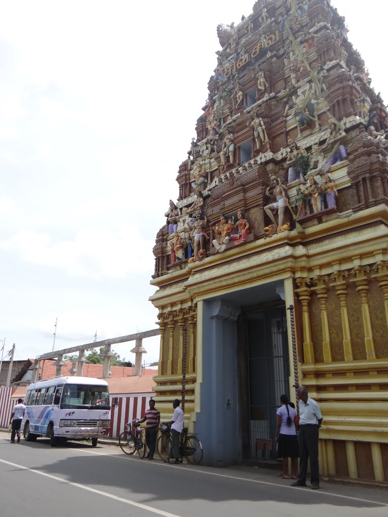 Vaitheeswara Kovil (Hindu Temple) by Senanayaka Bandara