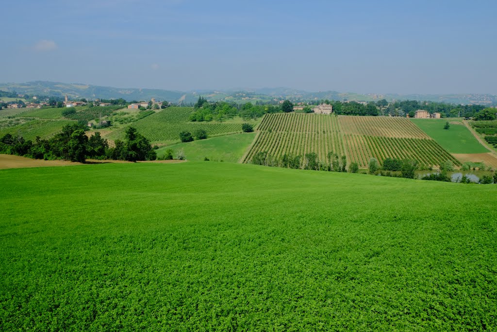 Campagna nei pressi di Levizzano Rangone 1 by Massimo P