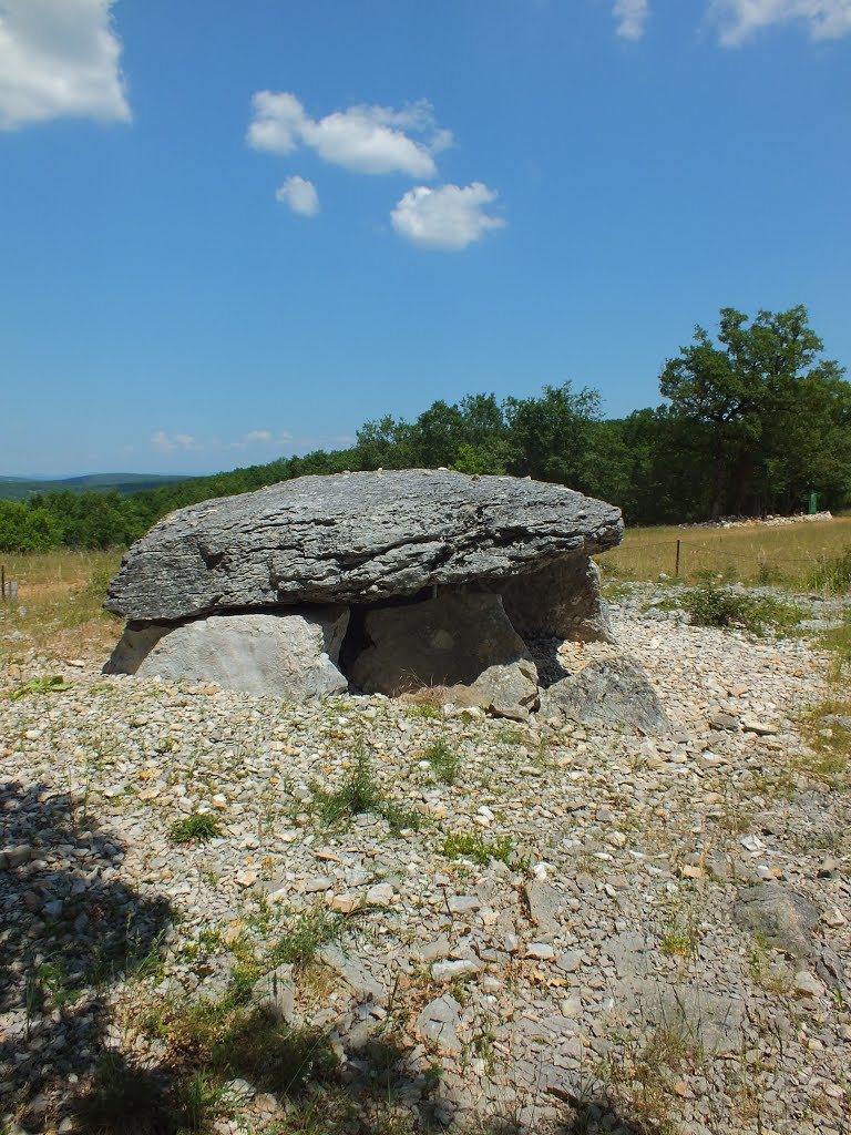 Dolmen de Pech Laglayre 2 à Gréalou by Yann LESELLIER