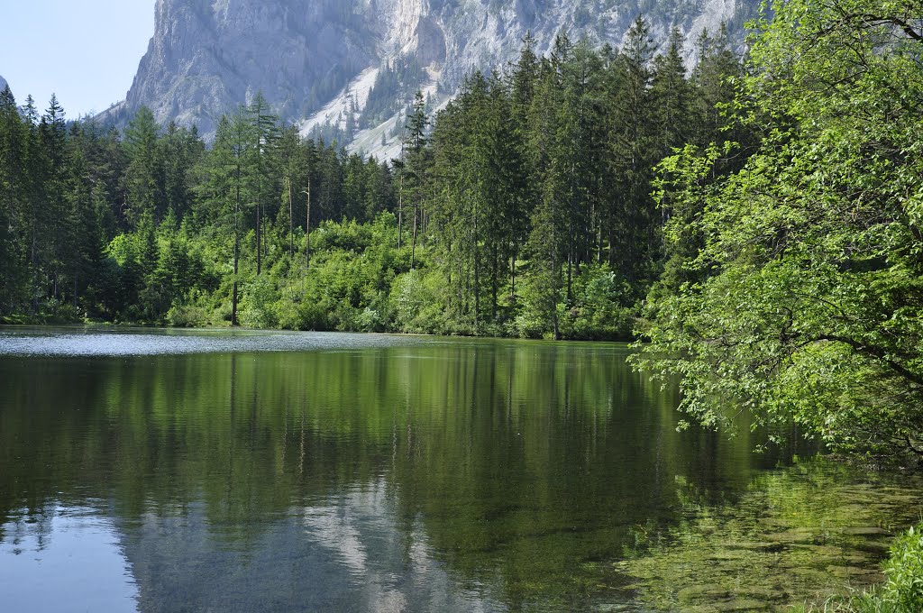 Tragöß, Austria by maderian