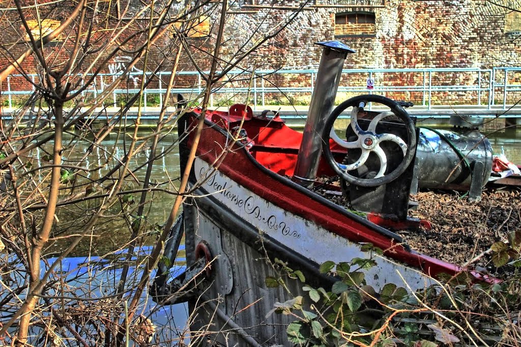 Camley Street Natural Park, London by Richard Cruttwell