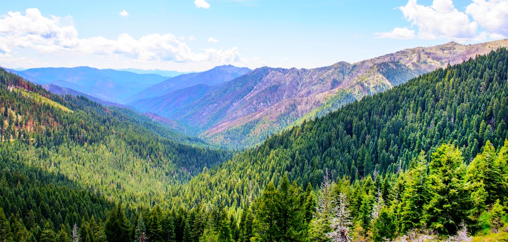 Looking West from Etna Pass after the forest fire_DSC4792 by Larry Doc Butcher