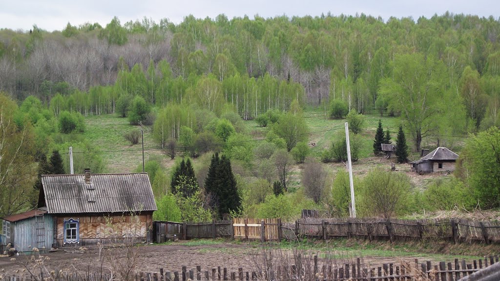 Zarechnyy, Kemerovskaya oblast', Russia, 652793 by Andy Psyandr