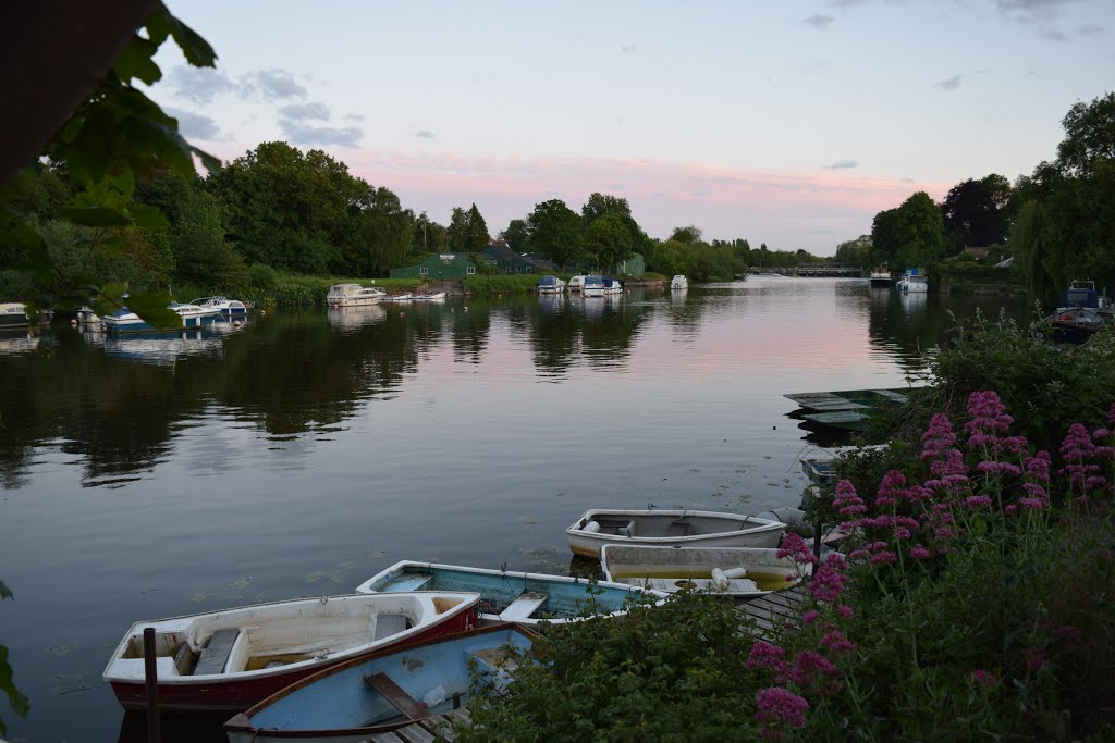 Sunbury-on-Thames, UK by Fiona Killick