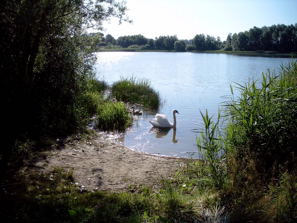 Am Stausee by Arne Schumacher