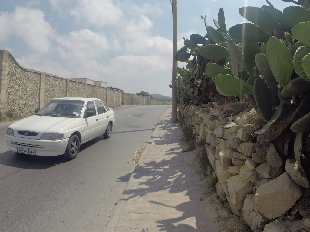 Mosta, Malta by Alan C. Bonnici