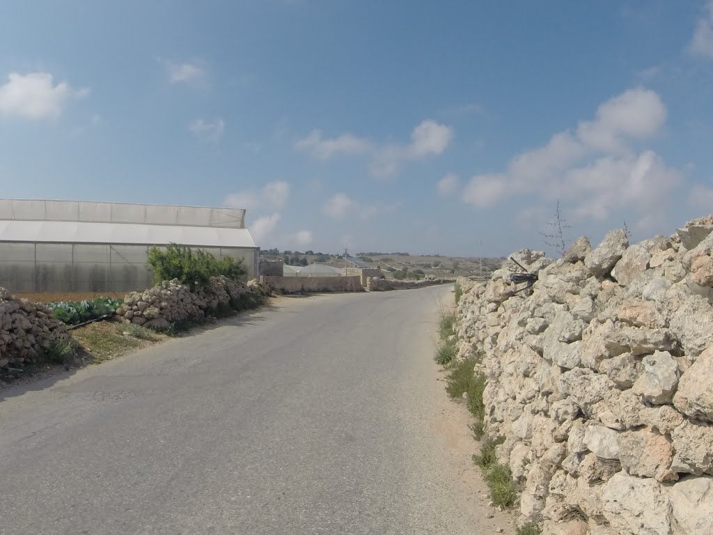 Zebbieh, Mgarr, Malta by Alan C. Bonnici