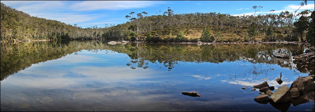 Lake Dobson Panorama by TropicFox