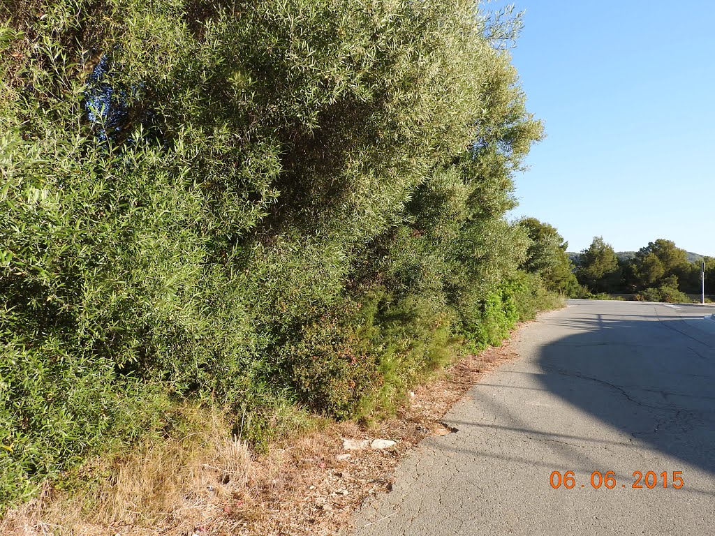 Roda de Berà, 43883, Tarragona, Spain by Carles-R