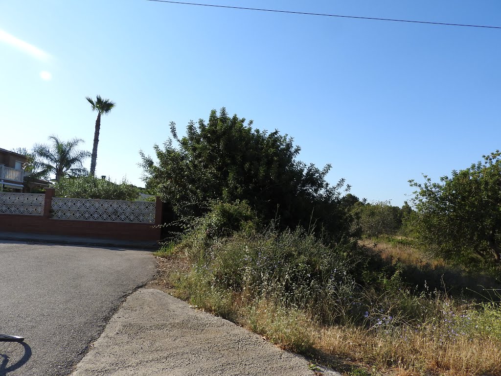 Roda de Berà, 43883, Tarragona, Spain by Carles-R