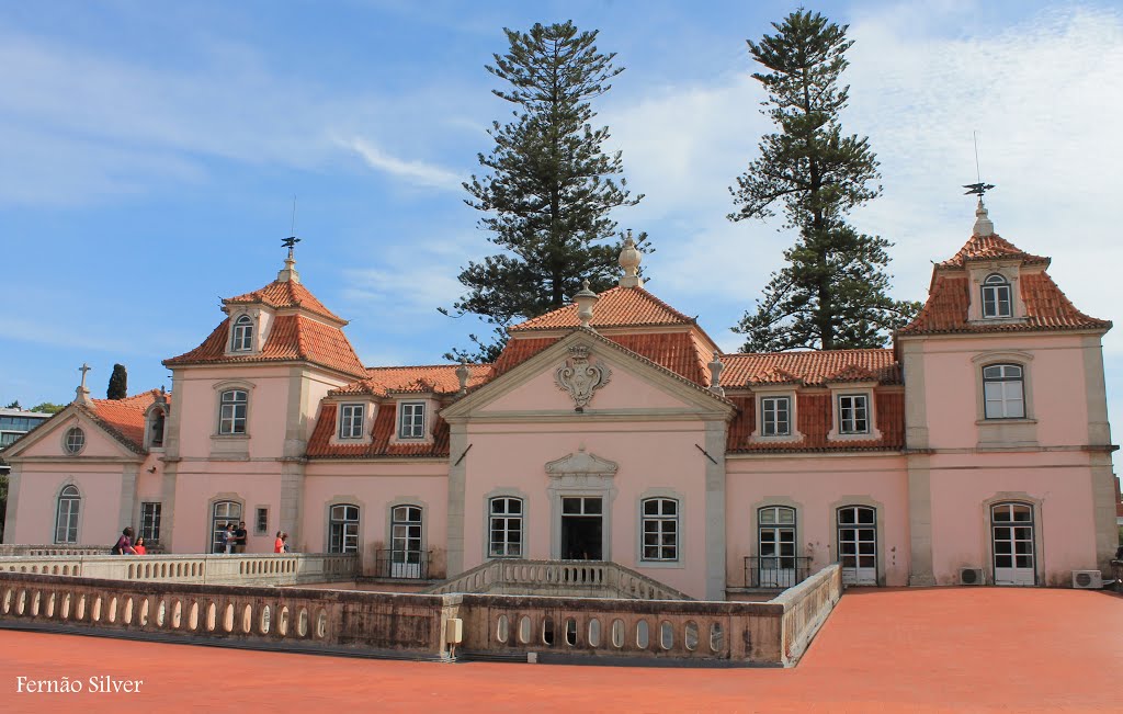 Palácio/Palace , Marquês de Pombal - Terraço/Terrace by Fernando Costa