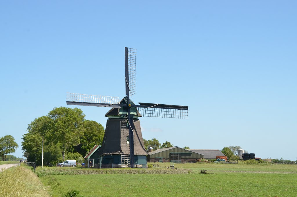 Molen D by René Speur