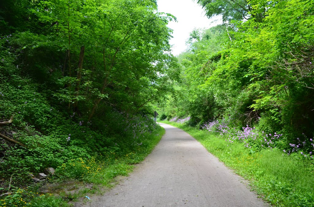 The Montour Trail mile 25 westbound by Ryan Mori