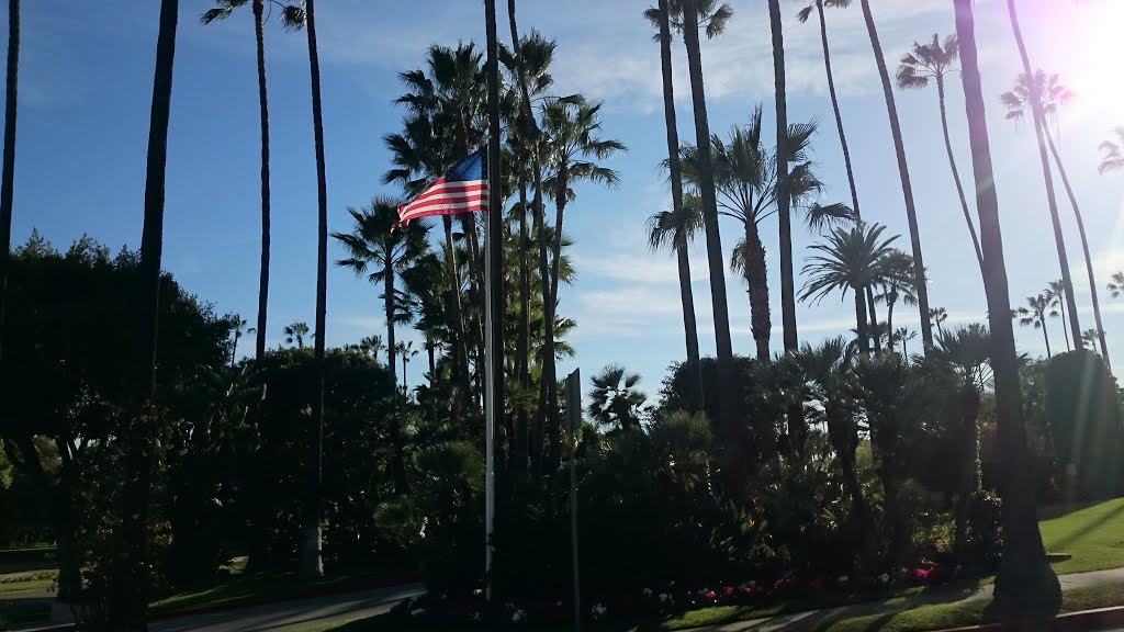 Beverly Hills, CA, Estados Unidos, 2015 by Predador