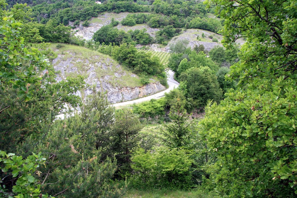 Ardon - Colline de Crest - route pour Montau by Charly-G. Arbellay