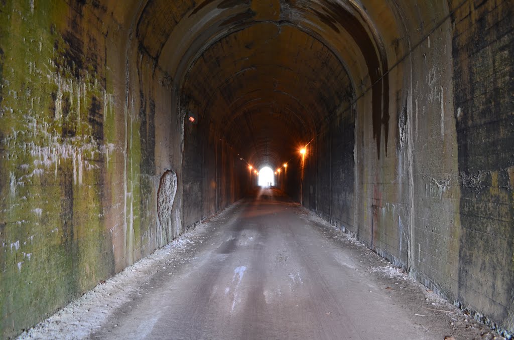 Inside Enlow Tunnel by Ryan Mori