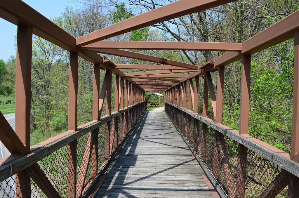 Quicksilver Bridge by Ryan Mori