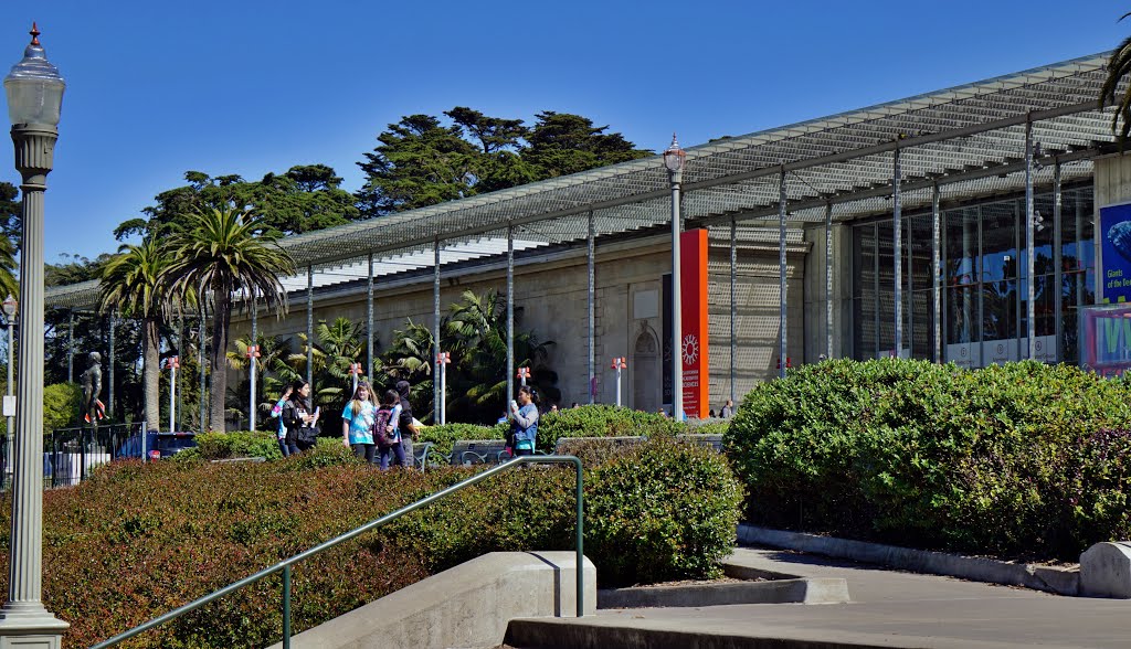 California Academy of Sciences / Golden Gate Park / San Francisco by Richard McL