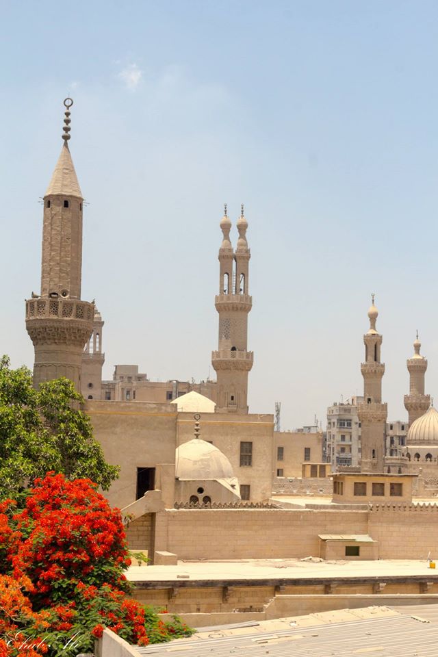 Cairo, Cairo Governorate, Egypt by Fahmy Sayied