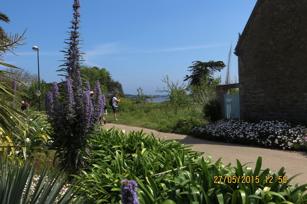 Île-de-Bréhat, France by Jean-Luc Small