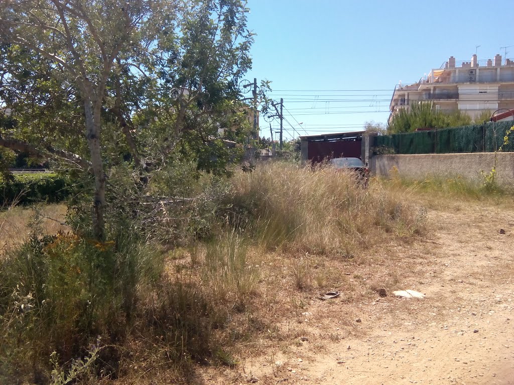 Roda de Berà, 43883, Tarragona, Spain by Carles-R