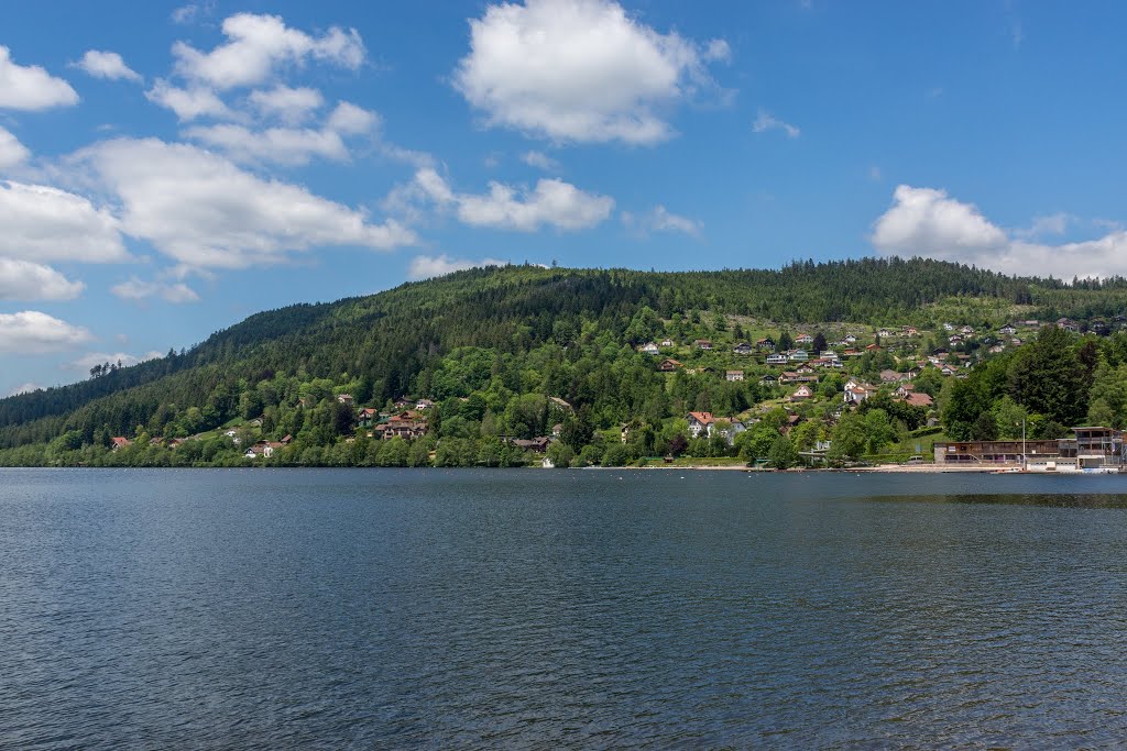 Lac de Gérardmer by Jean Martinelle