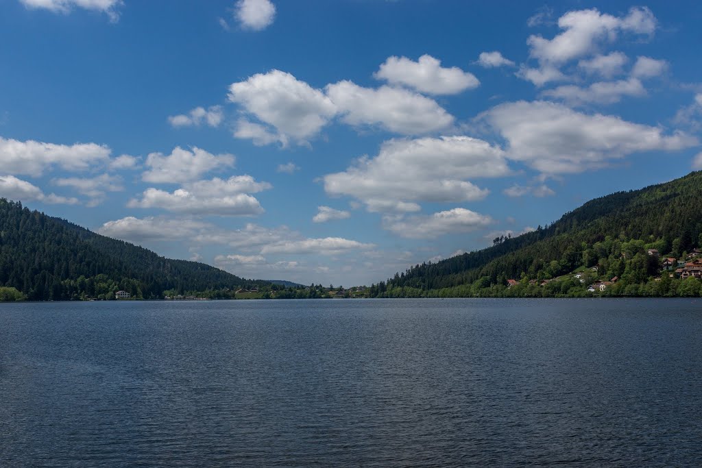 Lac de Gérardmer by Jean Martinelle