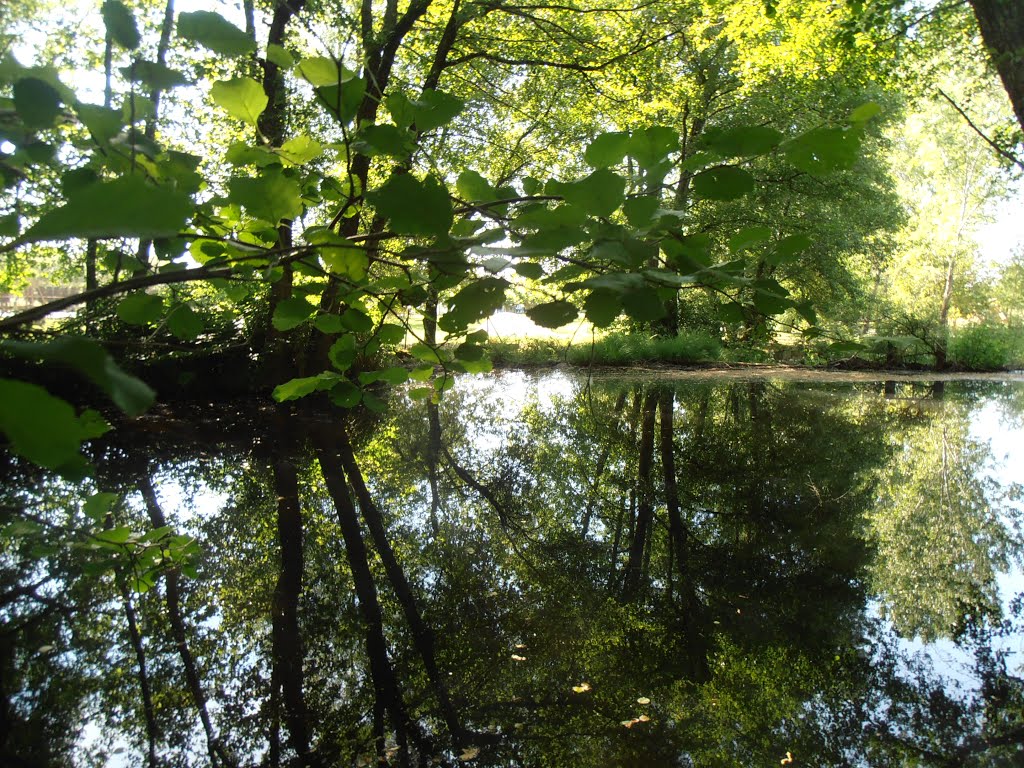 Río Maceda by Eladio Cortizo