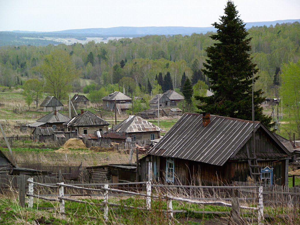 Заречное, Гурьевский район, Кемеровская область, Россия by Andy Psyandr