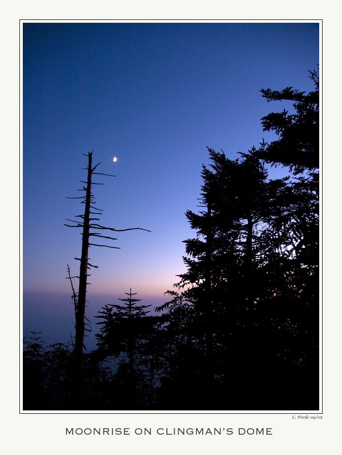 Moonrise on Clingman's Dome by Chris Poole