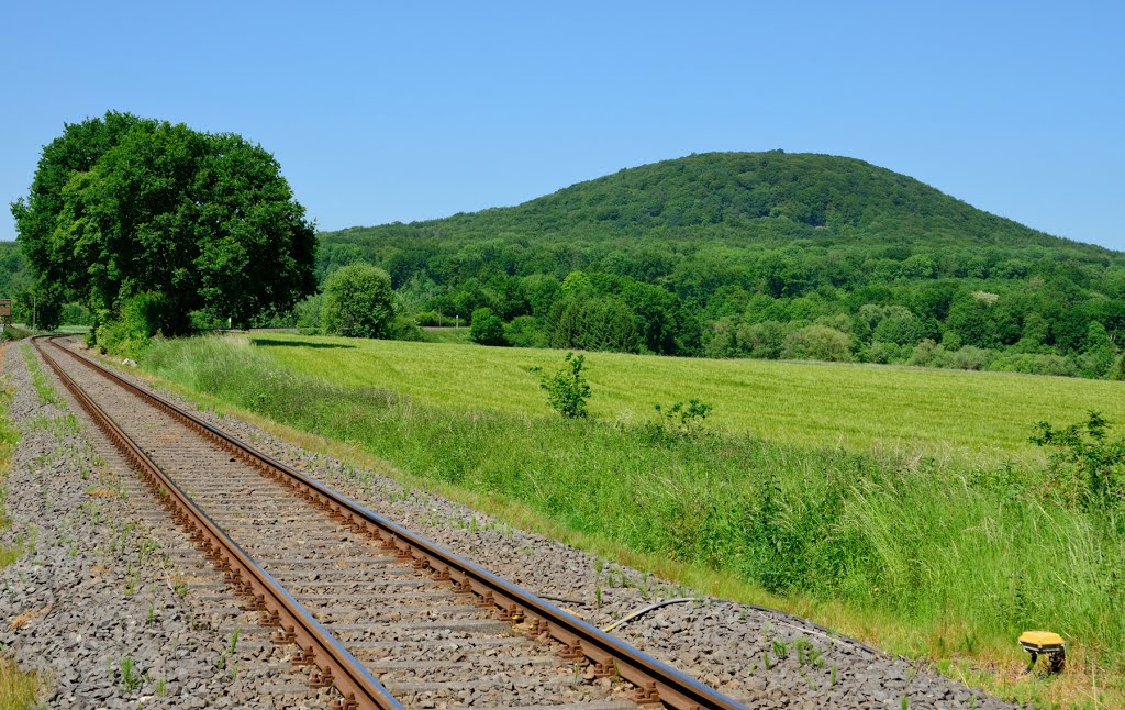 Blick auf den Malberg, 4. Juni 2015 by Meister Buchen